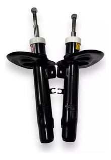 Amortiguadores Record Frances Hidráulicos Peugeot 301 (2013-2024)