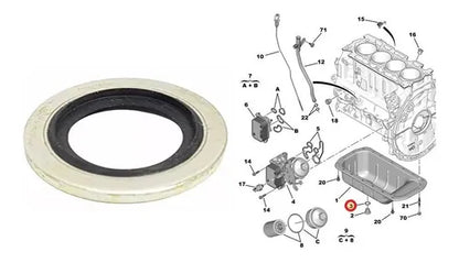 GOLILLA TAPON DE CARTER PEUGEOT CITROEN OPEL DS 1.5 BLUEHDI (TODOS)