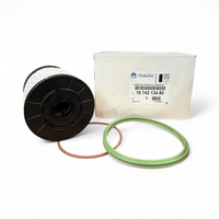 Filtro de Combustible Original Peugeot Citroën 2.0 - 2.2 BlueHDi DW10FDUU