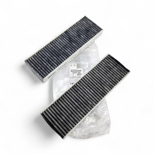 Filtro de Polen Original con Carbón Activo Peugeot / Citroën / Opel / DS (6447.XG)