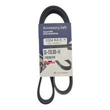 Correa de Accesorios Peugeot / Citroën 6PK1004 1.6 BlueHDi